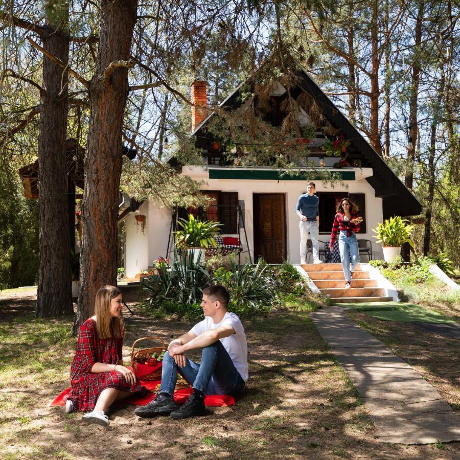 Ladybird Lodge Bela Crkva  Buitenkant foto